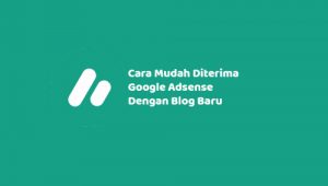 Cara Mudah Diterima Google Adsense Dengan Blog Baru