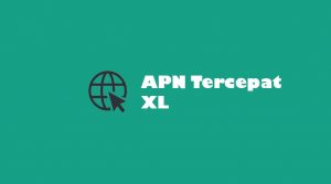 APN XL Tercepat