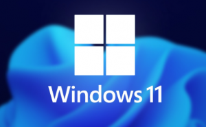 Aplikasi Screen Recording Windows 11 Gratis Dan Tidak Perlu Install